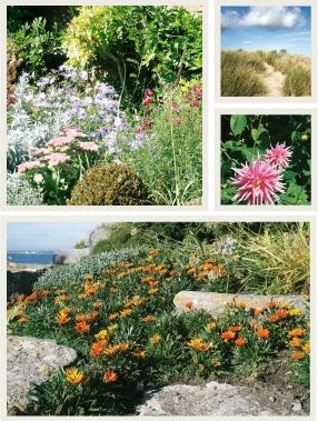 montage of garden pics