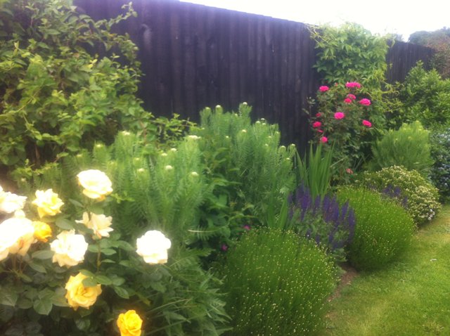 Border Project - Click to make an enquiry