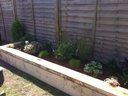 Raised beds